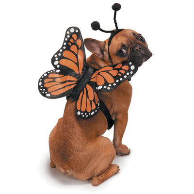 ZZ Butterfly NoGlow Dog Harness Costume M - Pets Perfect