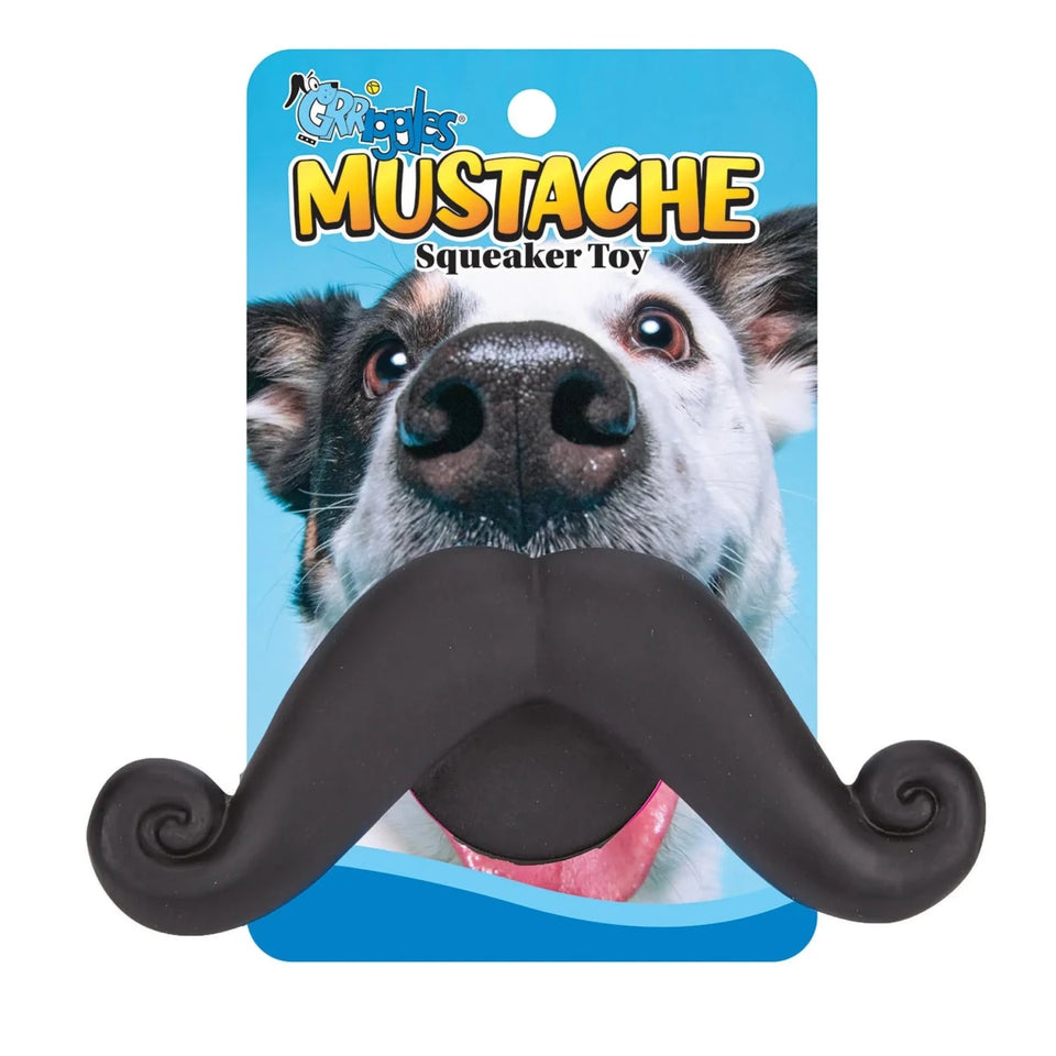 Grriggles Mustache Squeaker Dog Toy - Pets Perfect