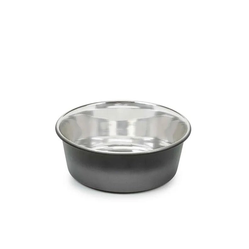 PS Stainless Steel Ombre Bowl Small - Pets Perfect