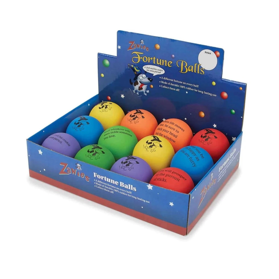Zanies Fortune Ball CDU 12Pc - Pets Perfect