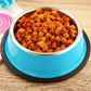 Pet Paradise Dual - Use Stainless Steel Pet Bowl - Pets Perfect
