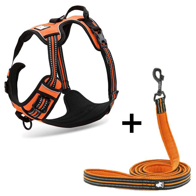 Ultimate Canine Comfort Harness - Pets Perfect