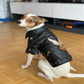 Luxury Leather Dog Coat - Chic Stylish Pet Outerwear - Pets Perfect