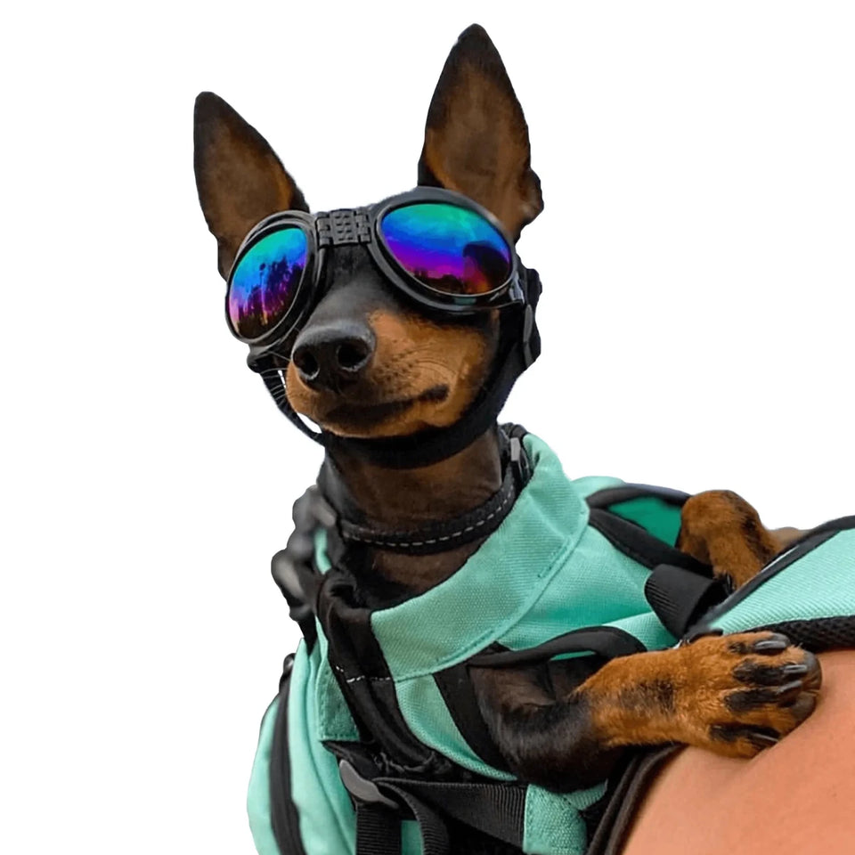 K9 Sport Shades - Protective Dog Goggles - Pets Perfect