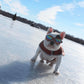 K9 Sport Shades - Dog Goggles