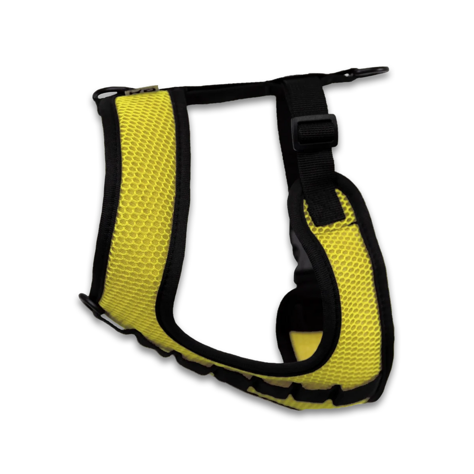 K9 Sport Dog Harness - Pets Perfect