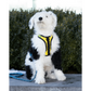 K9 Sport Harness - Pets Perfect