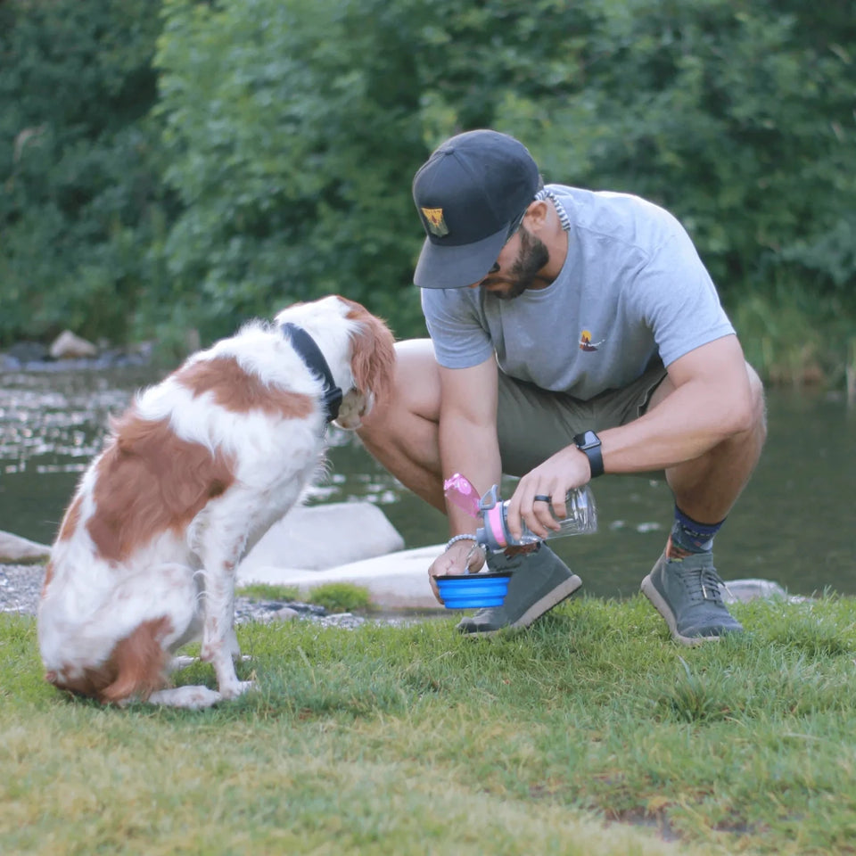 K9 Sport Saucer Collapsible Silicone Dog Bowl - Pets Perfect