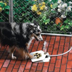 Refreshing Paws Outdoor Step - On Dog Water Fountain - Hose Connected - Pets Perfect