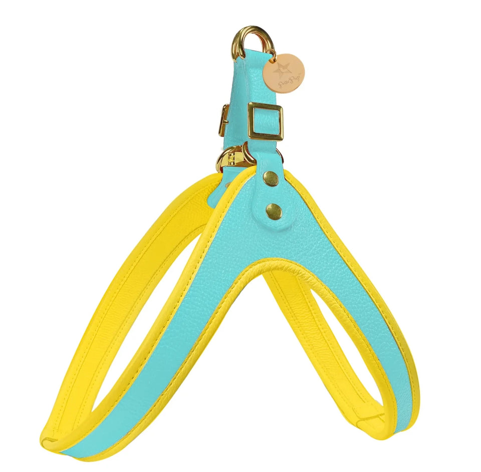 Dog Harness - Pets Perfect