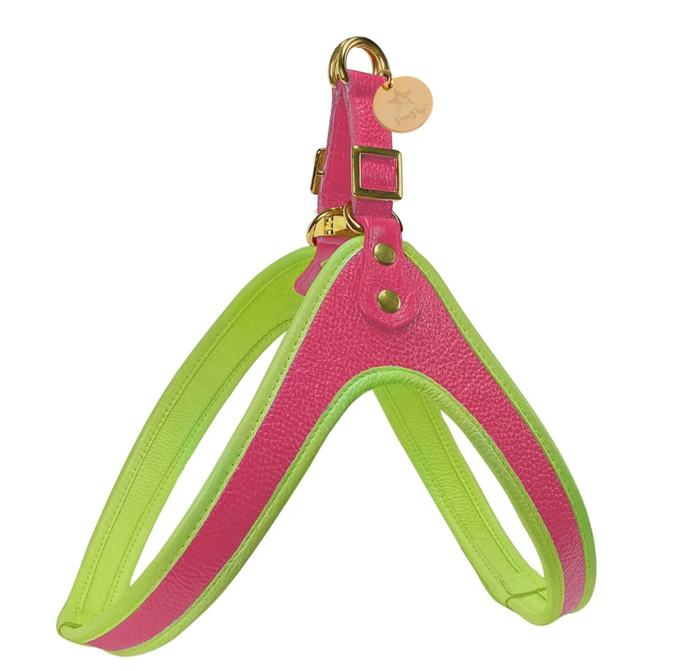Dog Harness - Pets Perfect
