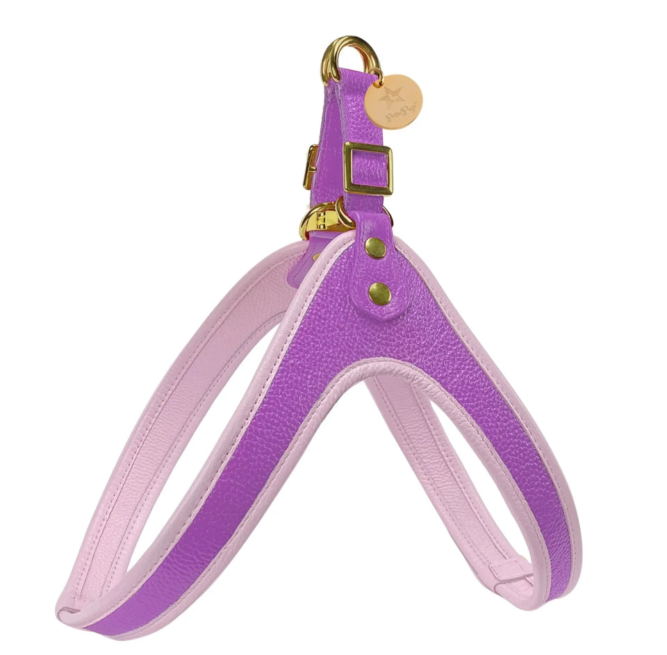Dog Harness - Pets Perfect