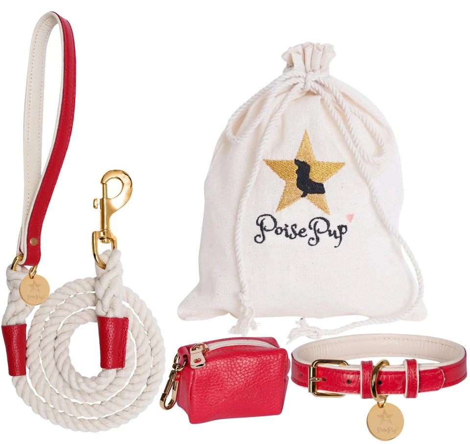 Dog Harness - Pets Perfect