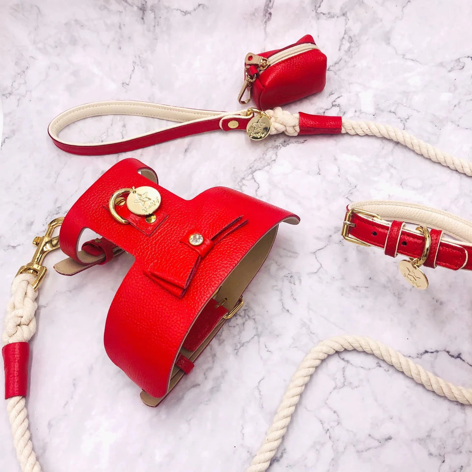 Dog Harness - Pets Perfect