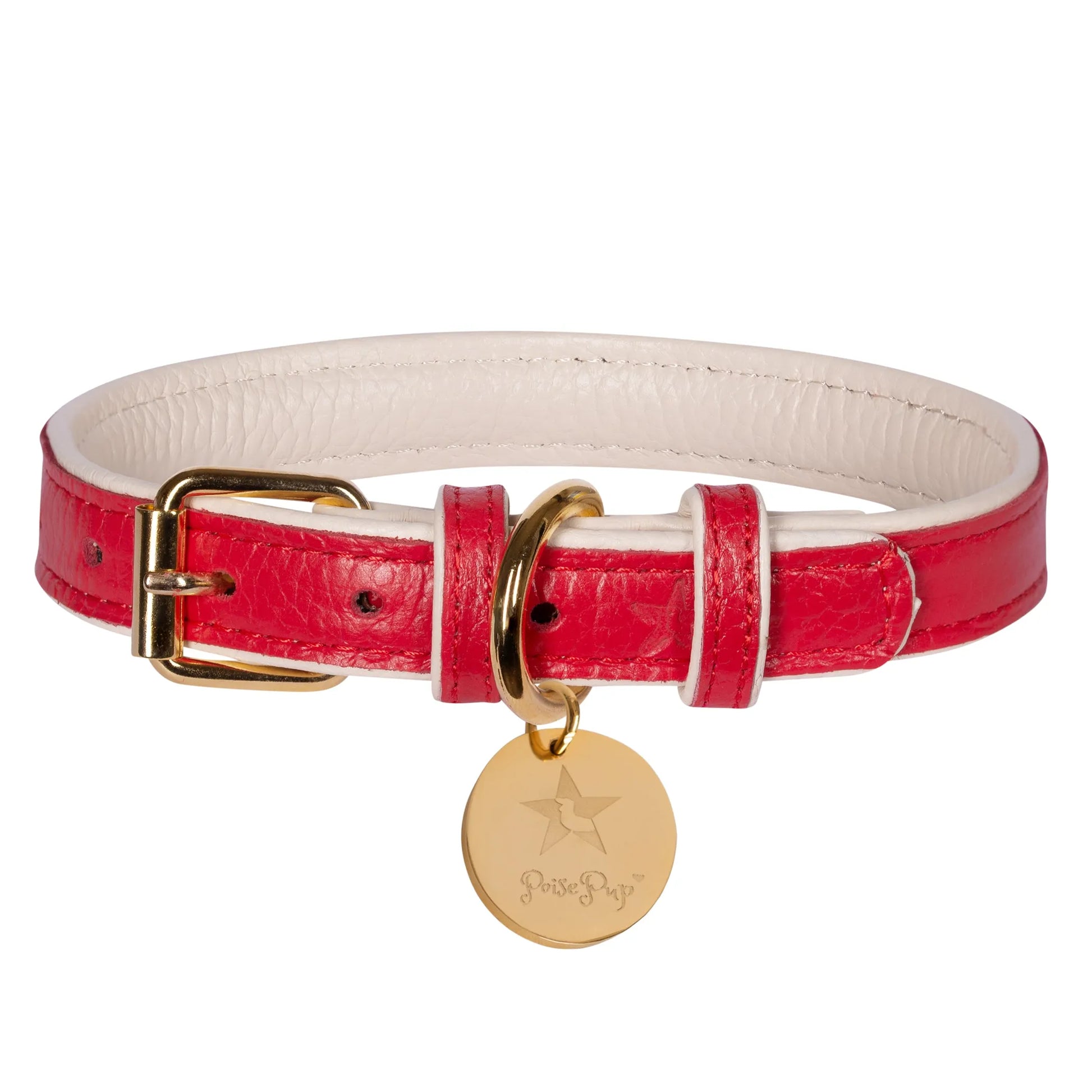 Dog Collar - Pets Perfect