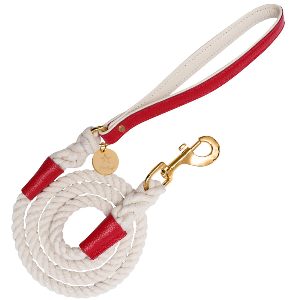 PoisePup Dog Leash - Premium Durable Pet Walking Lead - Pets Perfect