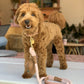 Dog Leash - Pets Perfect