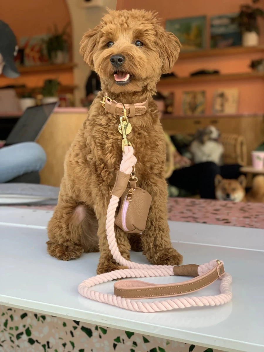 Waste Bag Holder - Pets Perfect