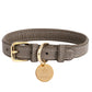 Dog Collar - Pets Perfect