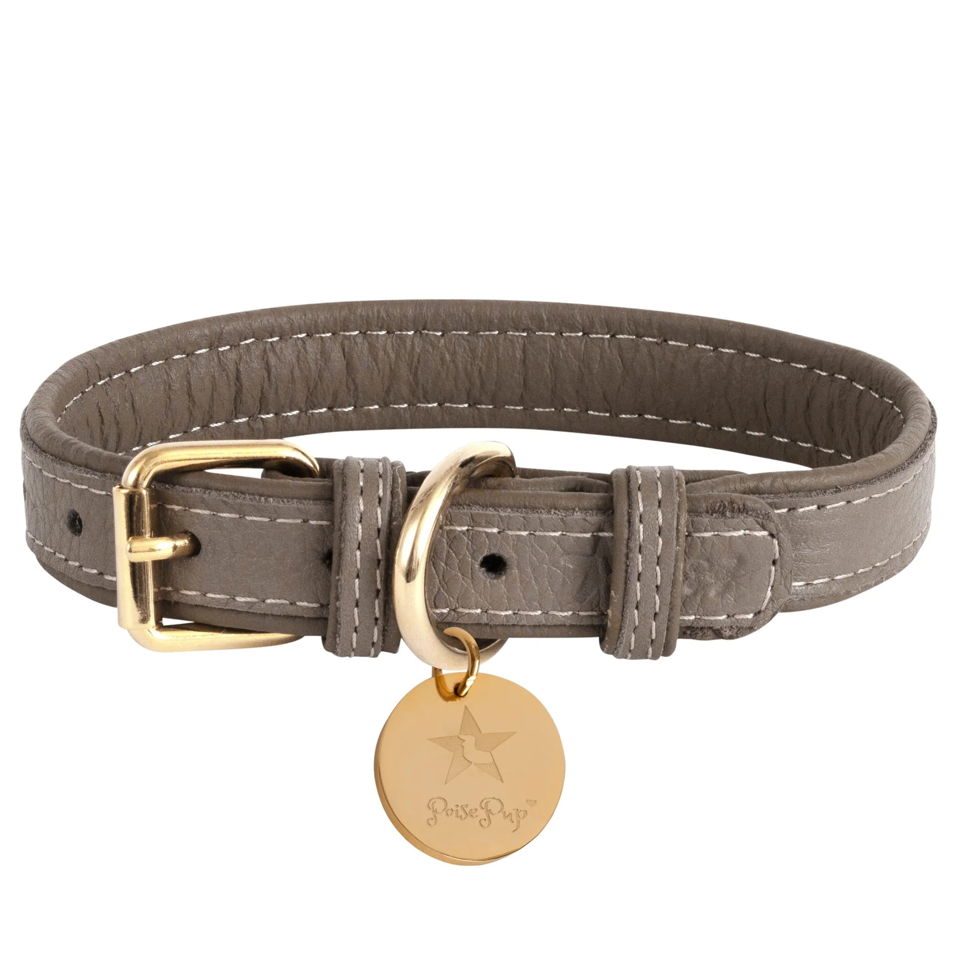 Dog Collar - Pets Perfect