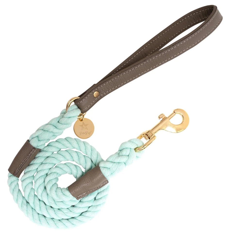 PoisePup Dog Leash - Premium Durable Pet Walking Lead - Pets Perfect