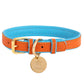 Dog Collar - Pets Perfect