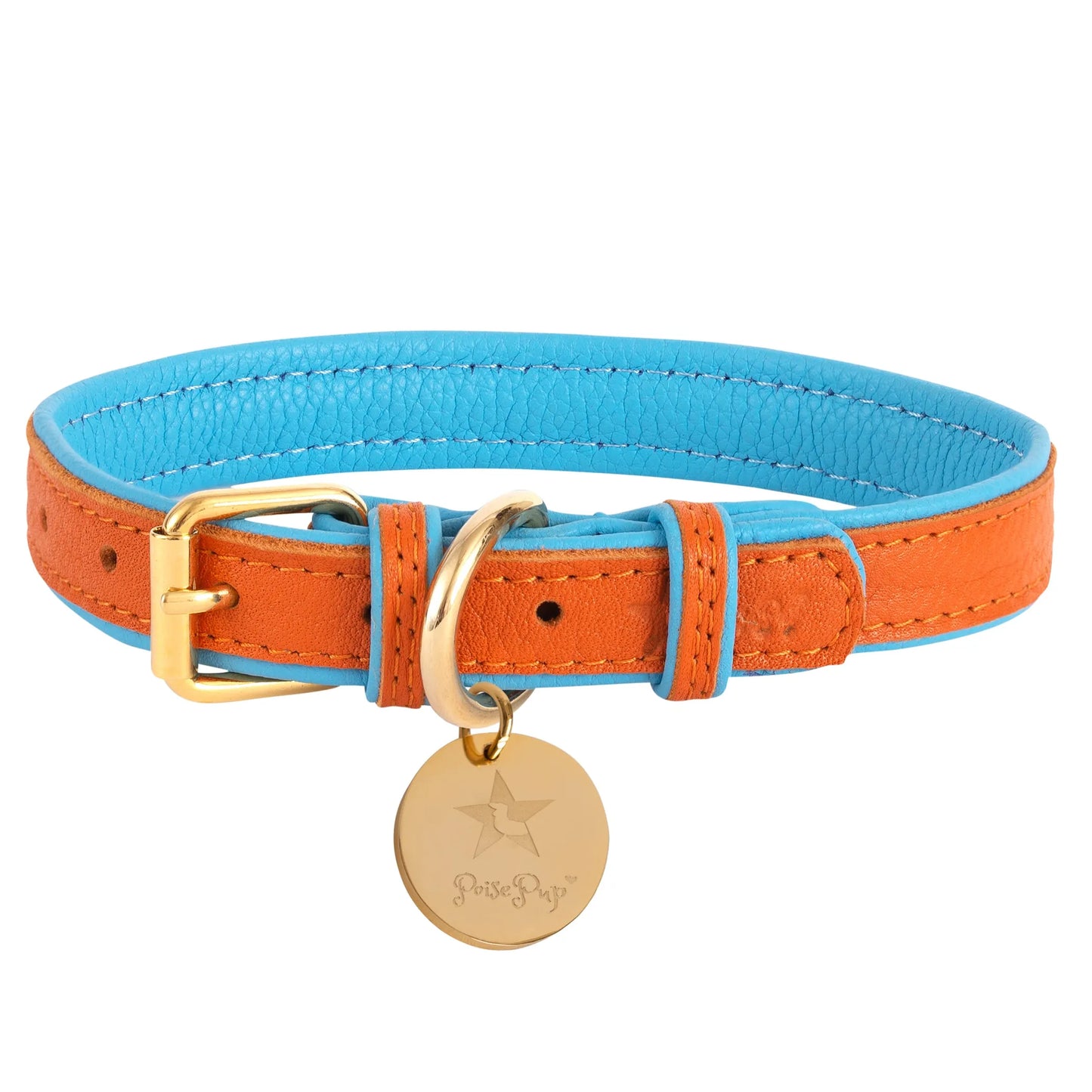 Dog Collar - Pets Perfect
