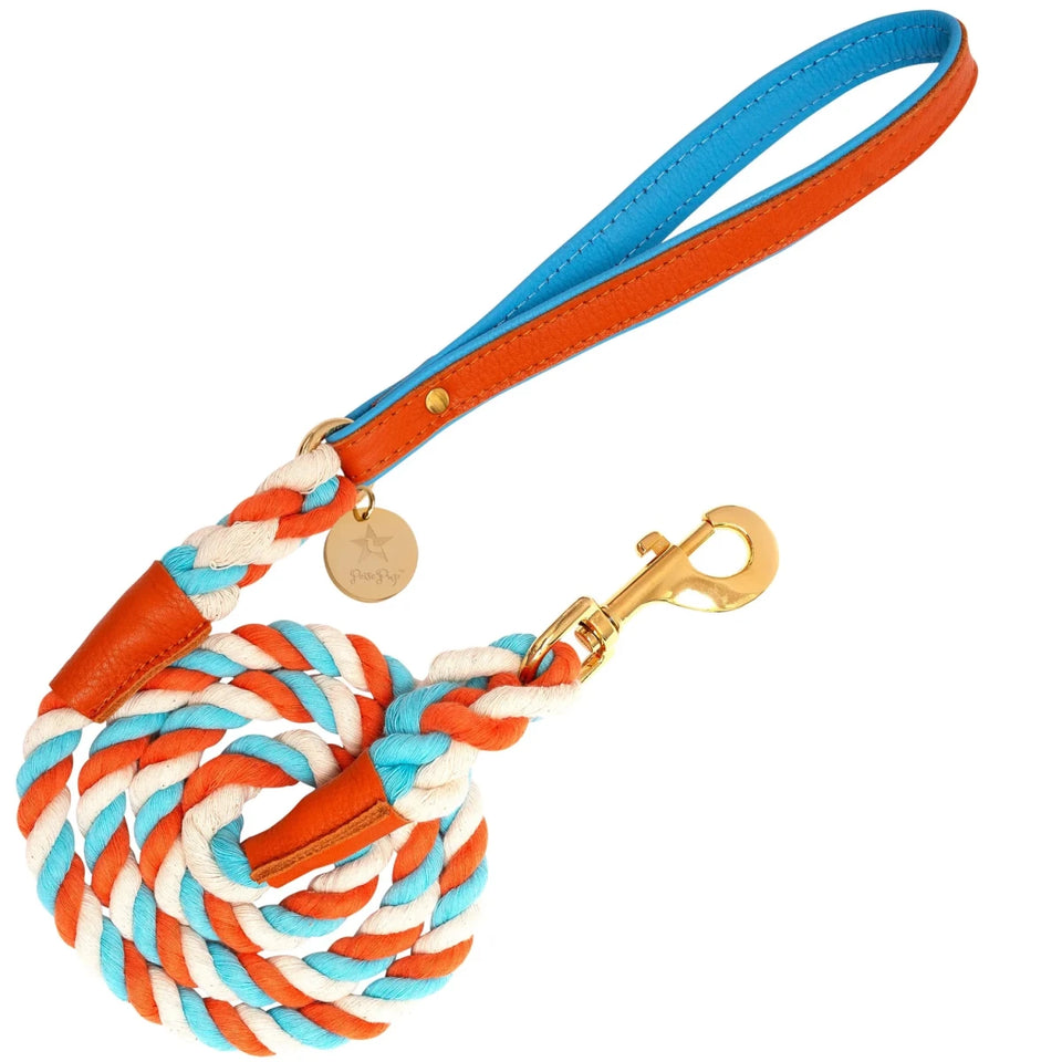 PoisePup Dog Leash - Premium Durable Pet Walking Lead - Pets Perfect