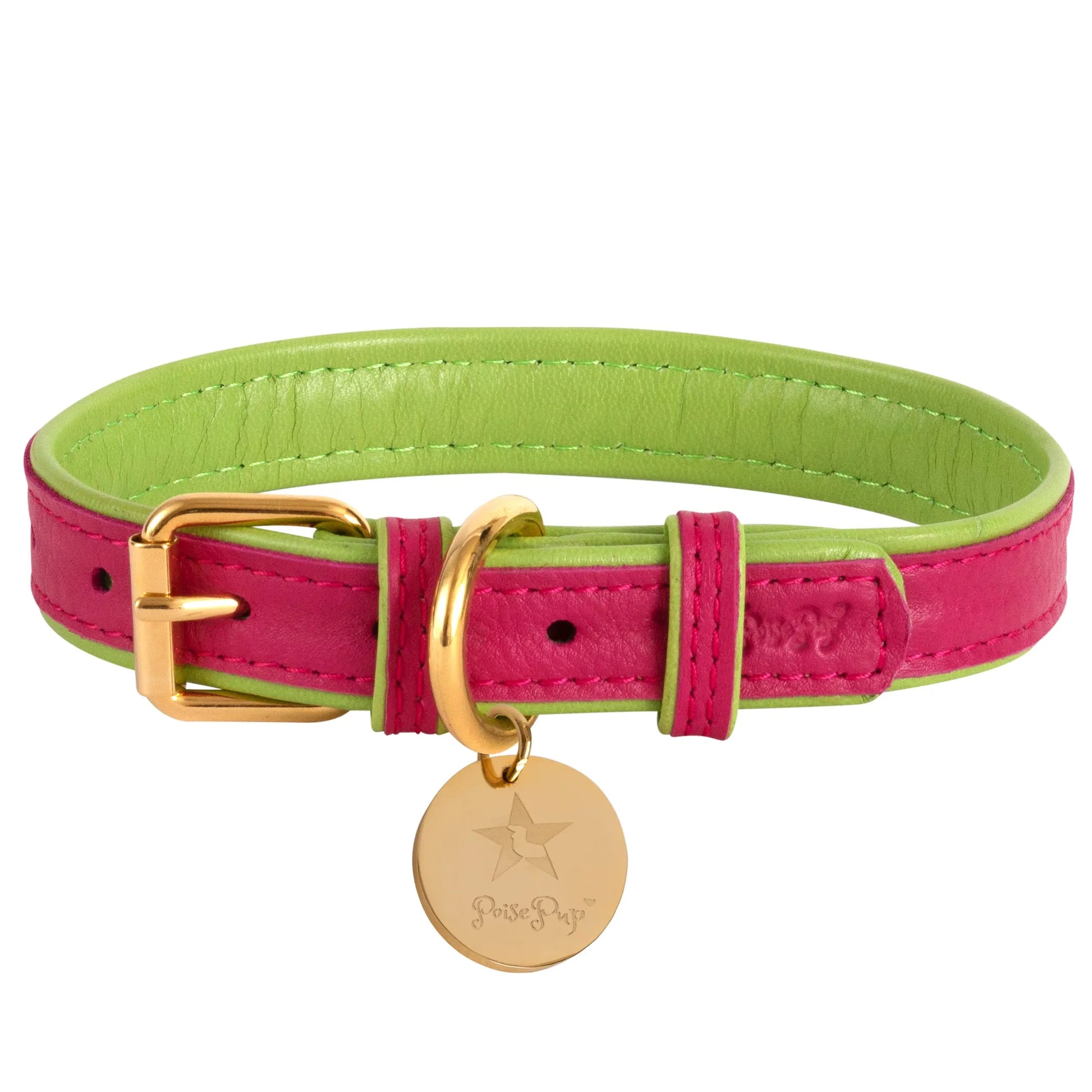 Dog Collar - Pets Perfect