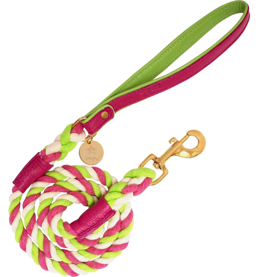 PoisePup Dog Leash - Premium Durable Pet Walking Lead - Pets Perfect