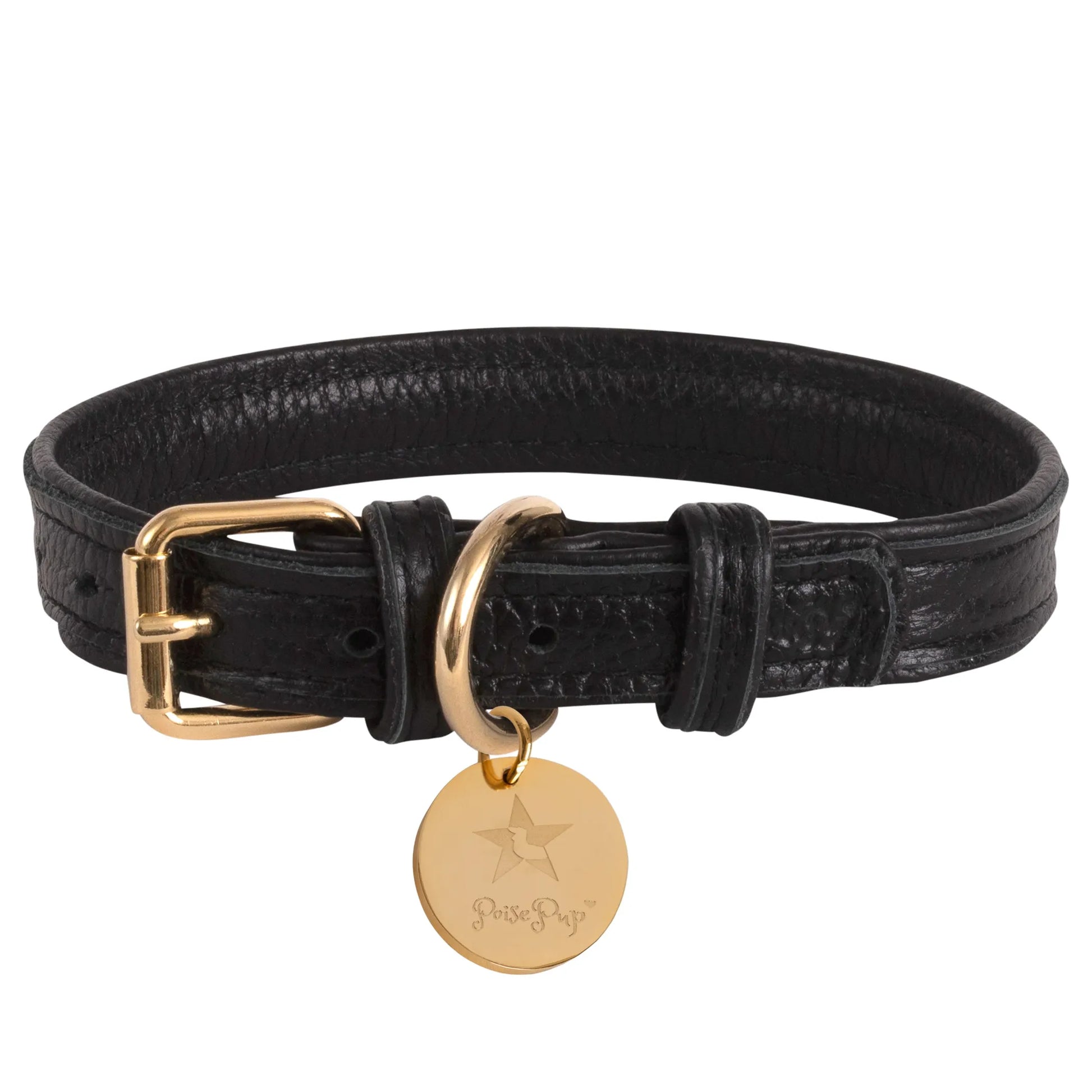 Dog Collar - Pets Perfect