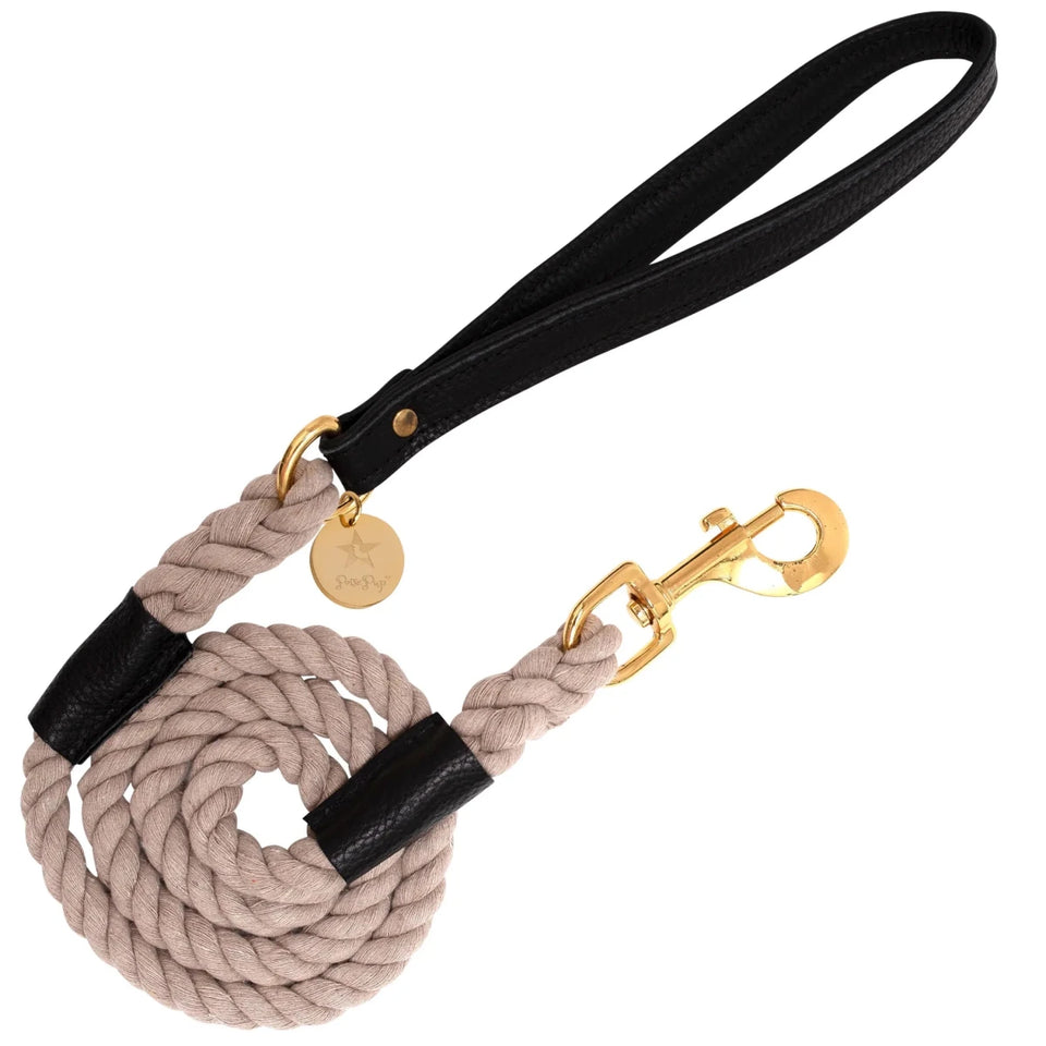 PoisePup Dog Leash - Premium Durable Pet Walking Lead - Pets Perfect