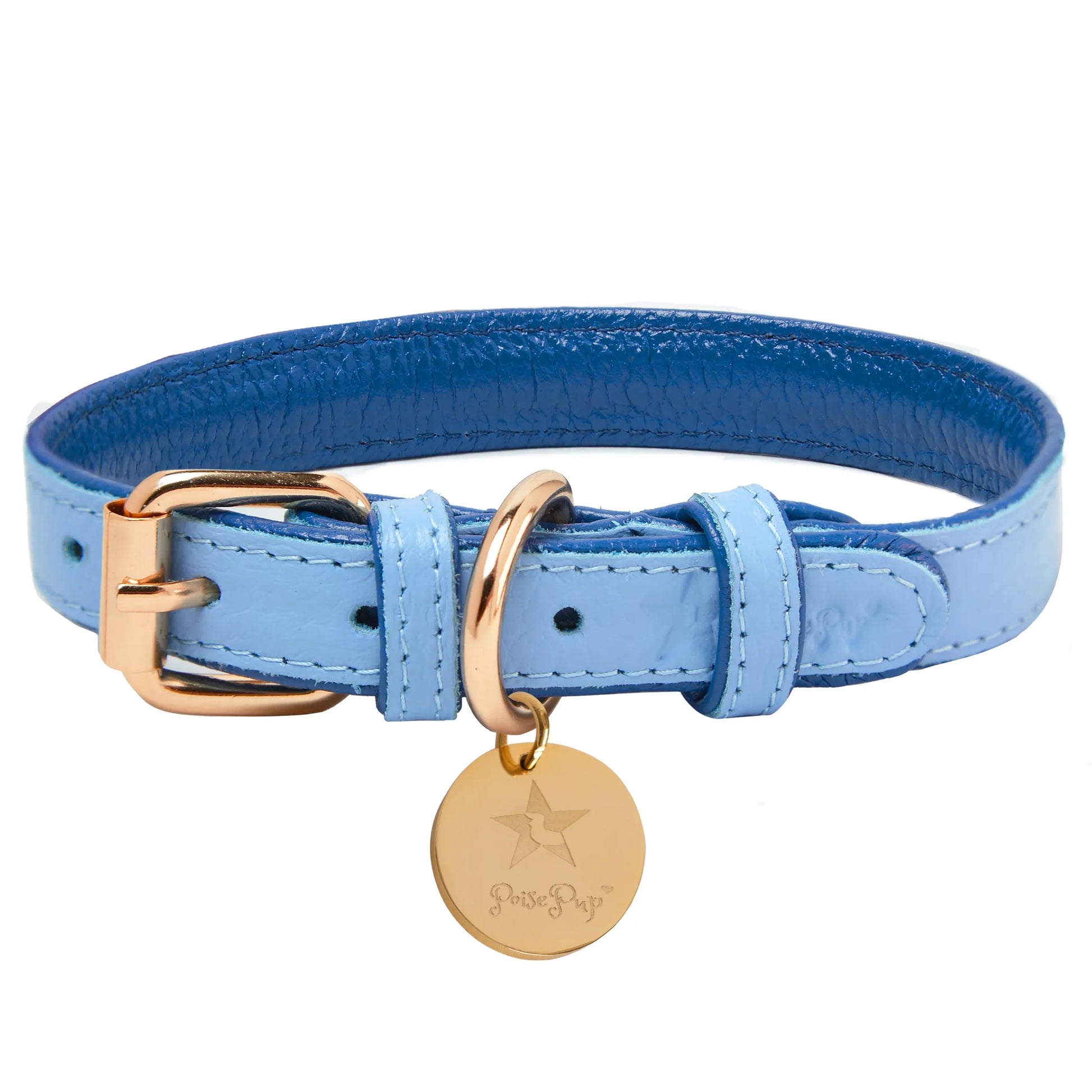 Dog Collar - Pets Perfect