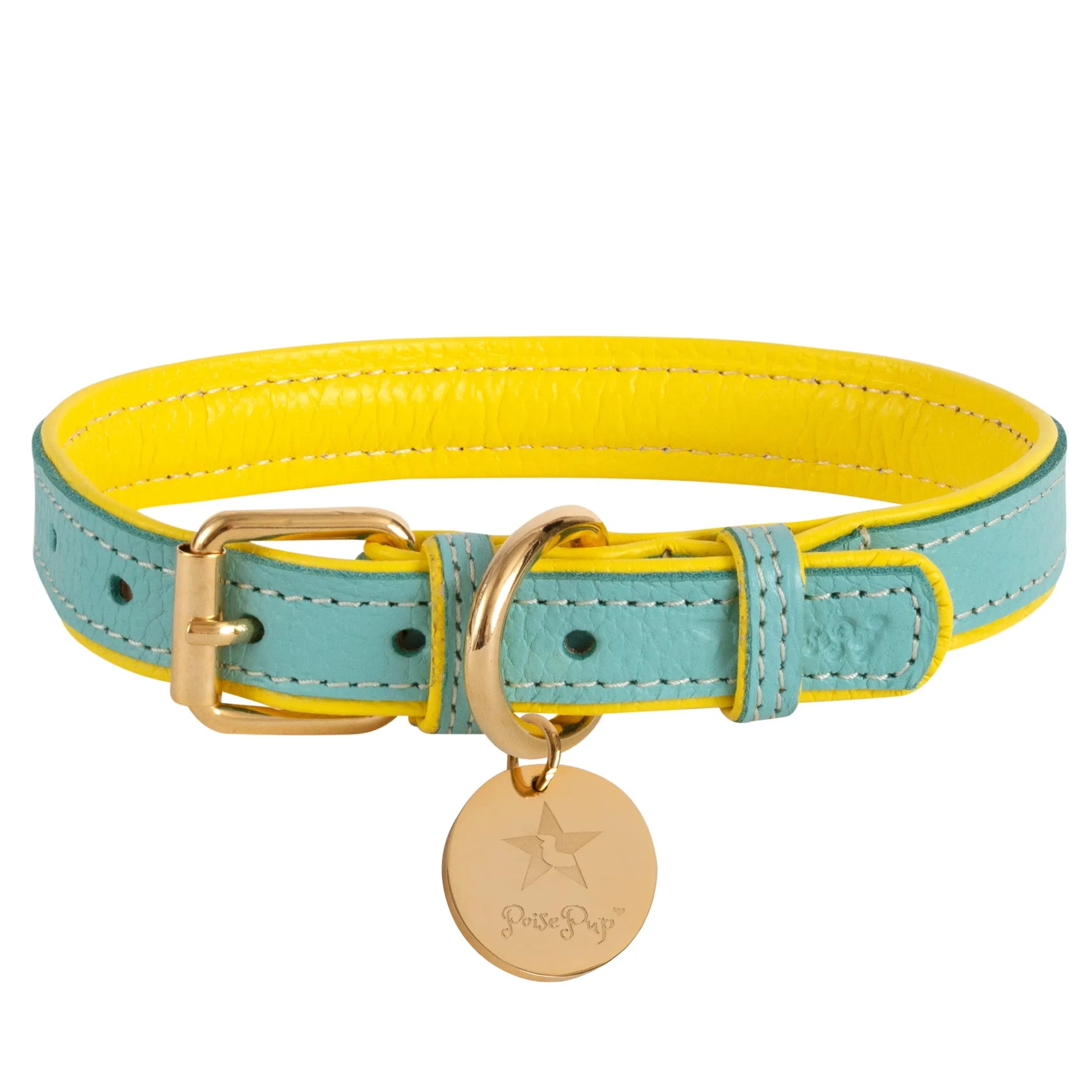 Dog Collar - Pets Perfect