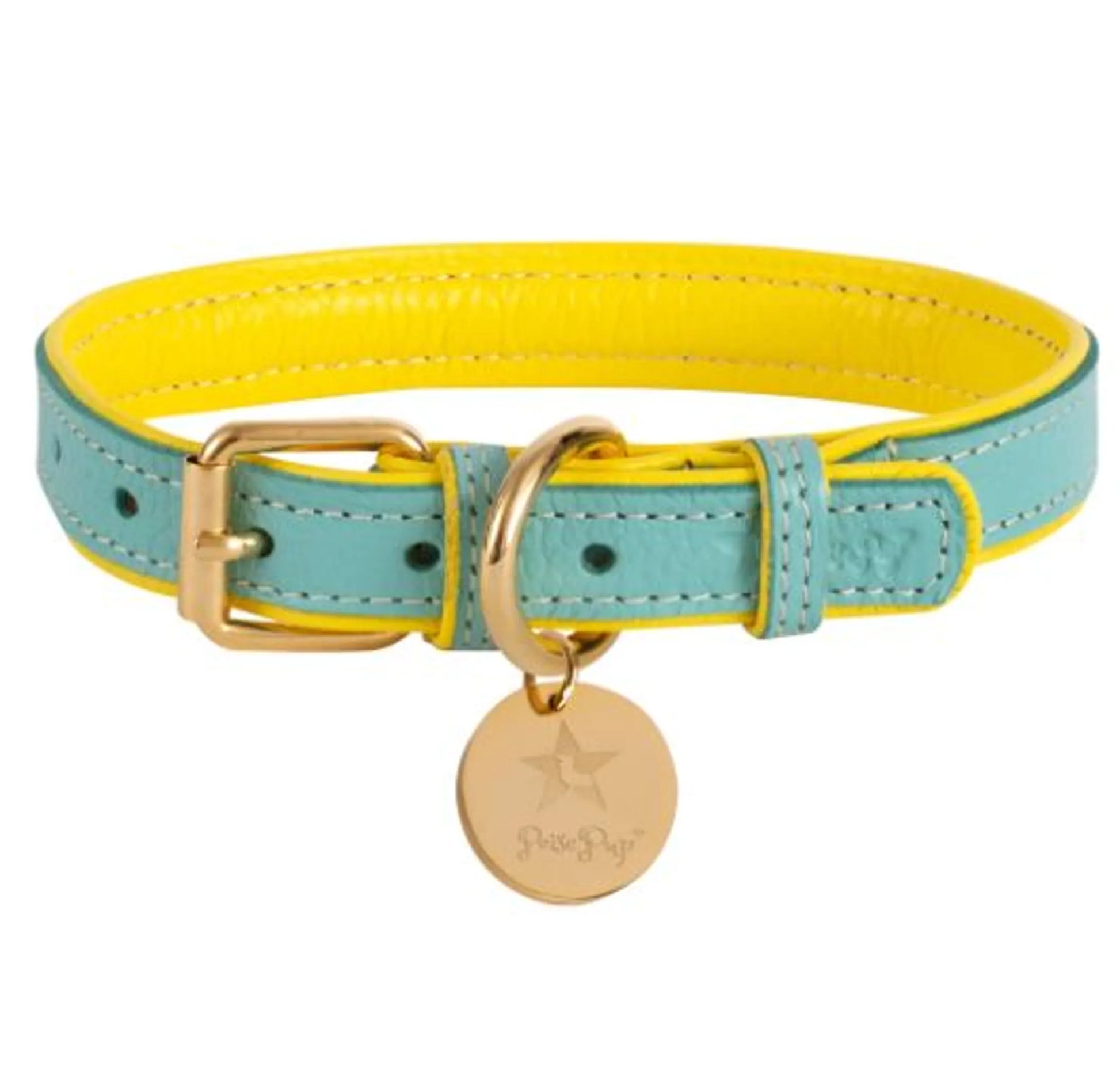 Dog Collar - Pets Perfect