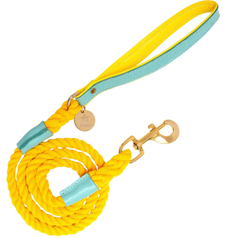PoisePup Dog Leash - Premium Durable Pet Walking Lead - Pets Perfect