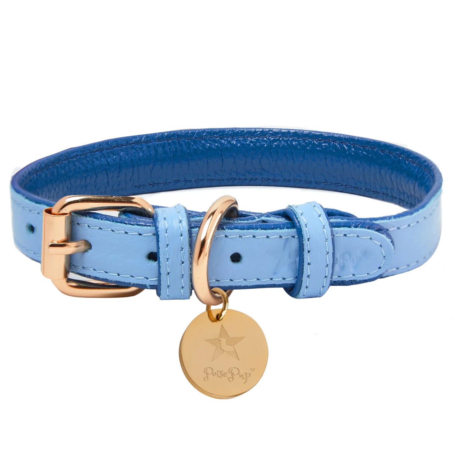 Dog Collar - Pets Perfect