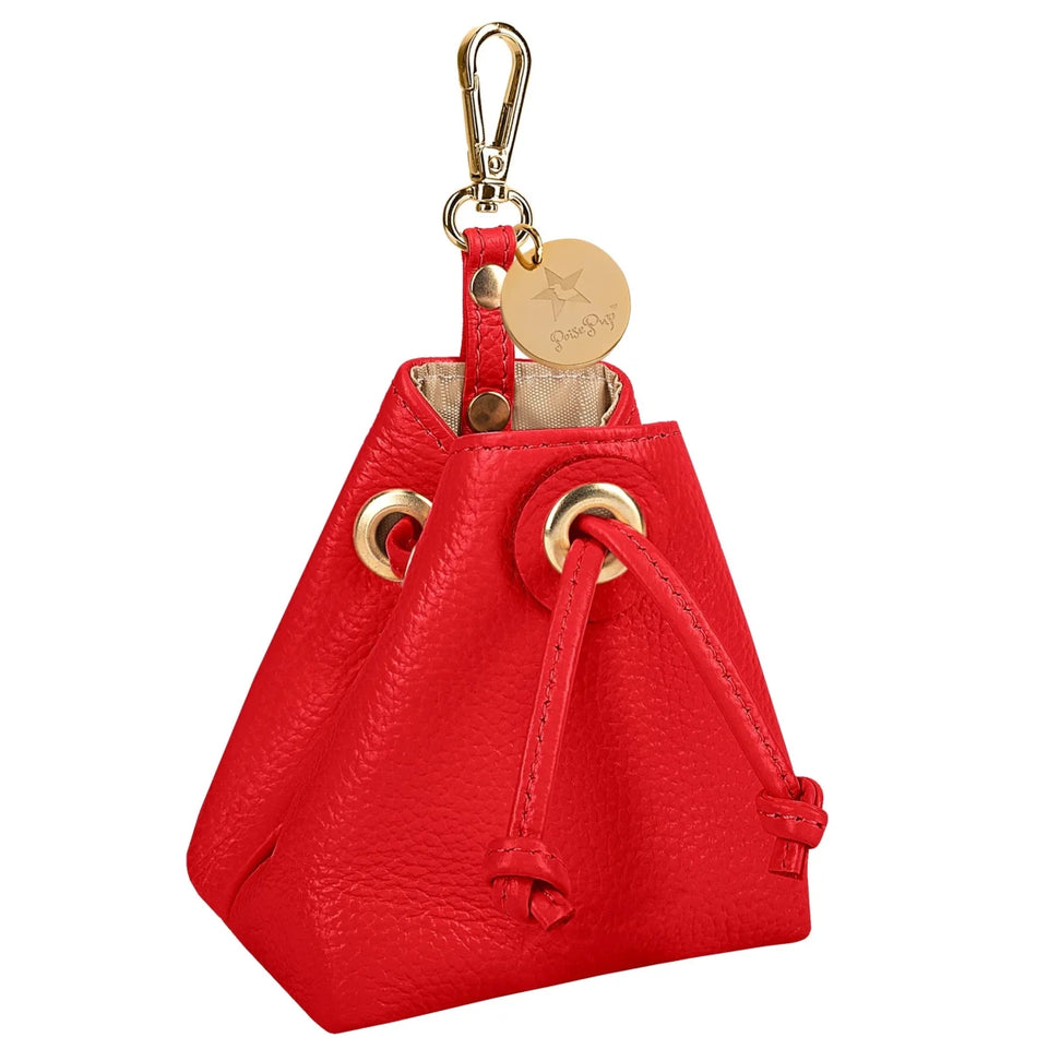 Dog Treat Bag - Pets Perfect