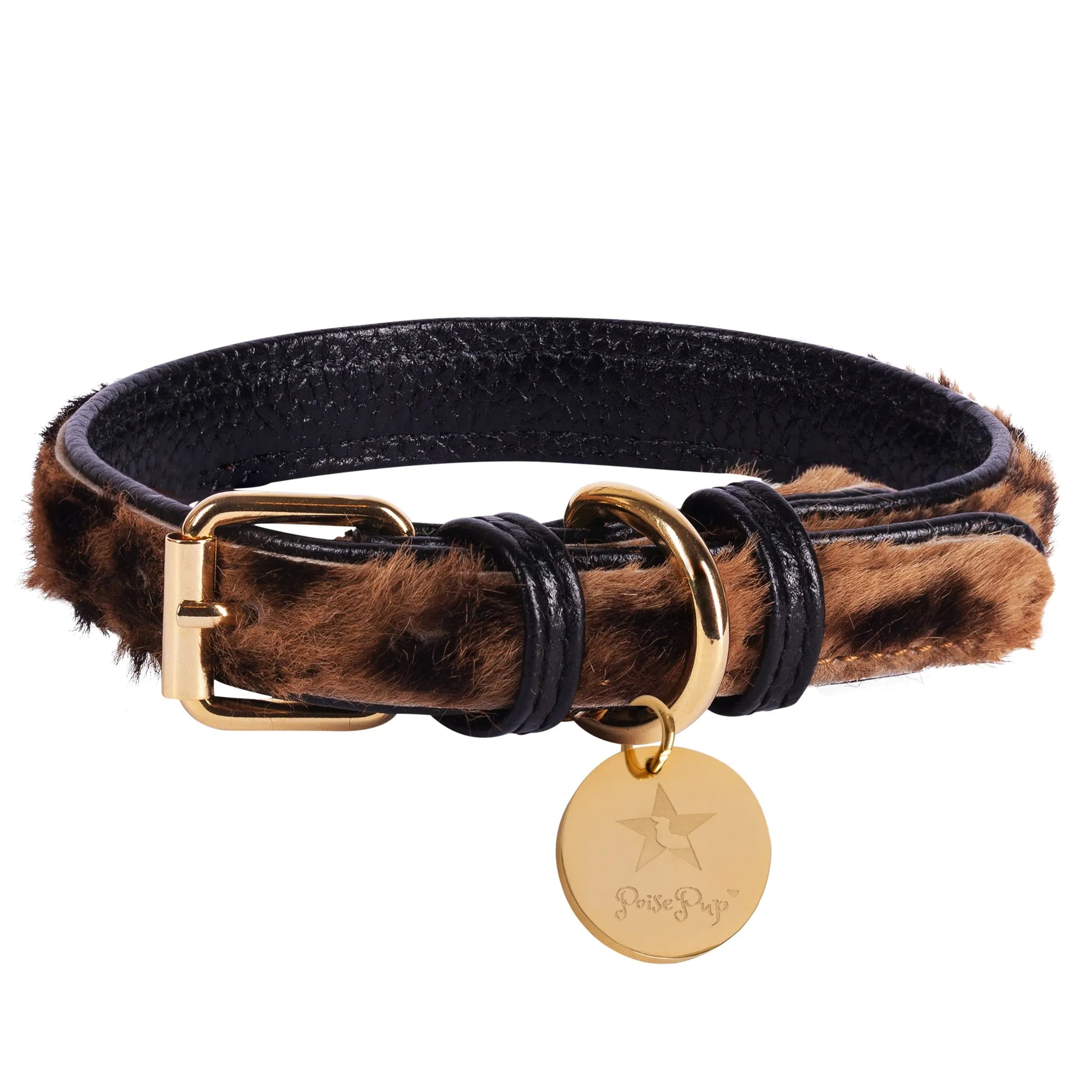 Dog Collar - Pets Perfect