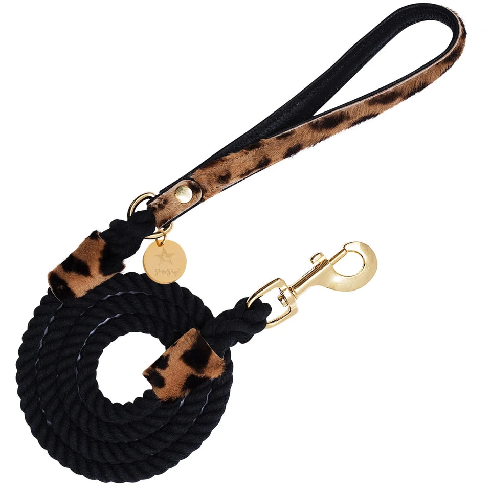 PoisePup Dog Leash - Premium Durable Pet Walking Lead - Pets Perfect