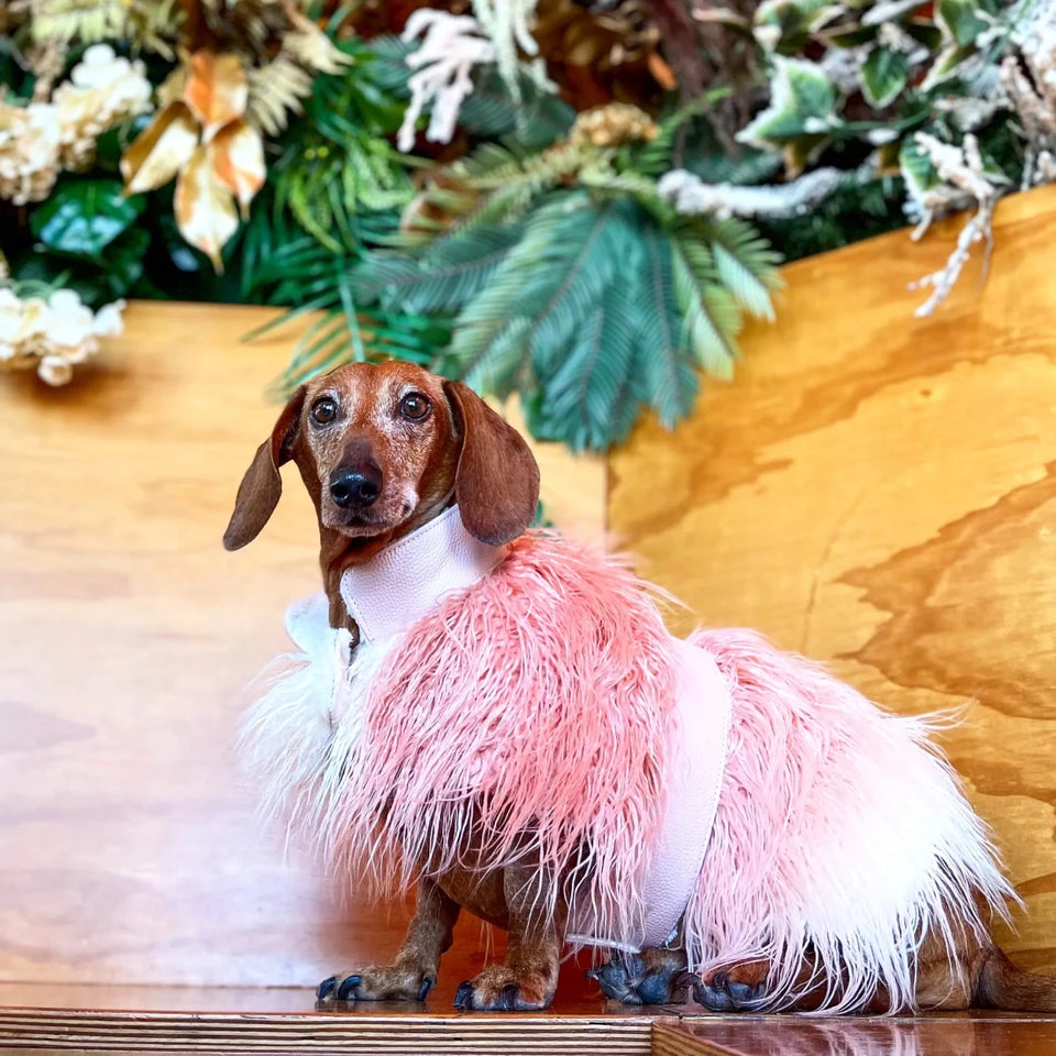 Mink Faux-Fur Vest - Pets Perfect
