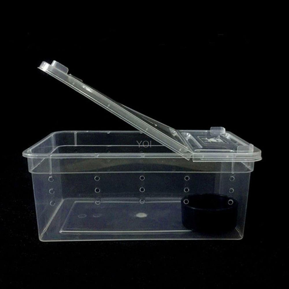 Transparent Reptile Haven: The Perfect Enclosure For Your Cold - Blooded Companions - Pets Perfect