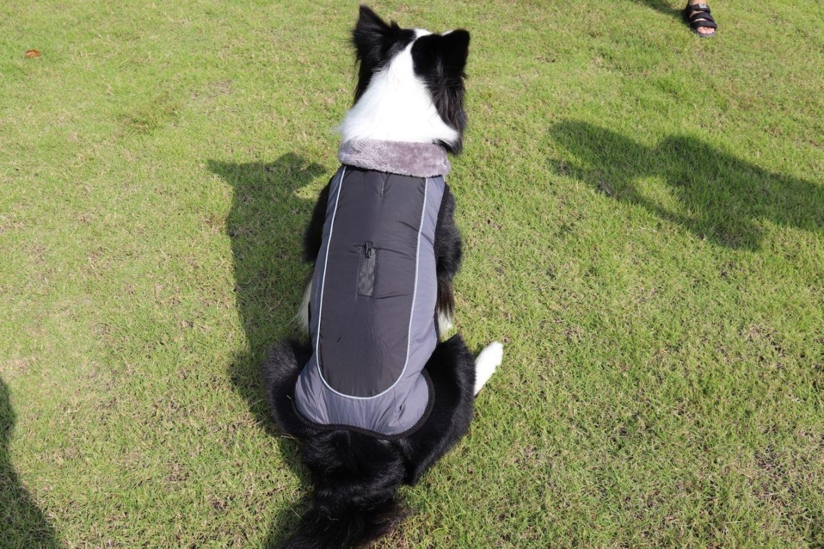 Ultimate Warmth Reflective Dog Coat - Winter Safety Jacket with Fur Collar - Pets Perfect