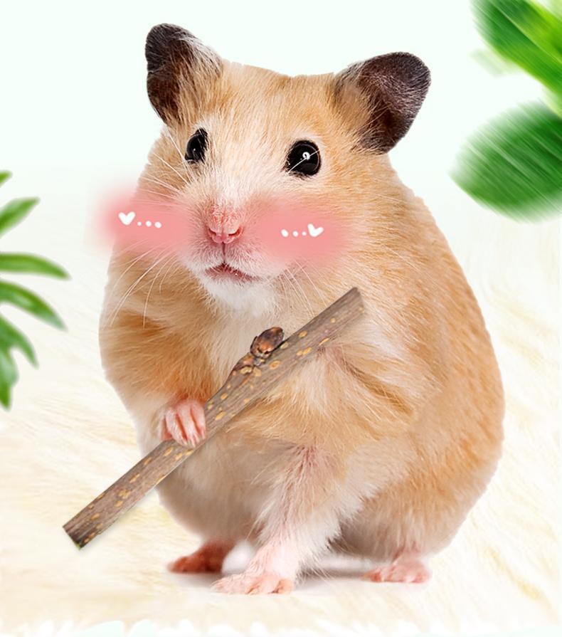 Wooden Bunny Bites: Natural Branch Chewing Snacks For Small Pets.