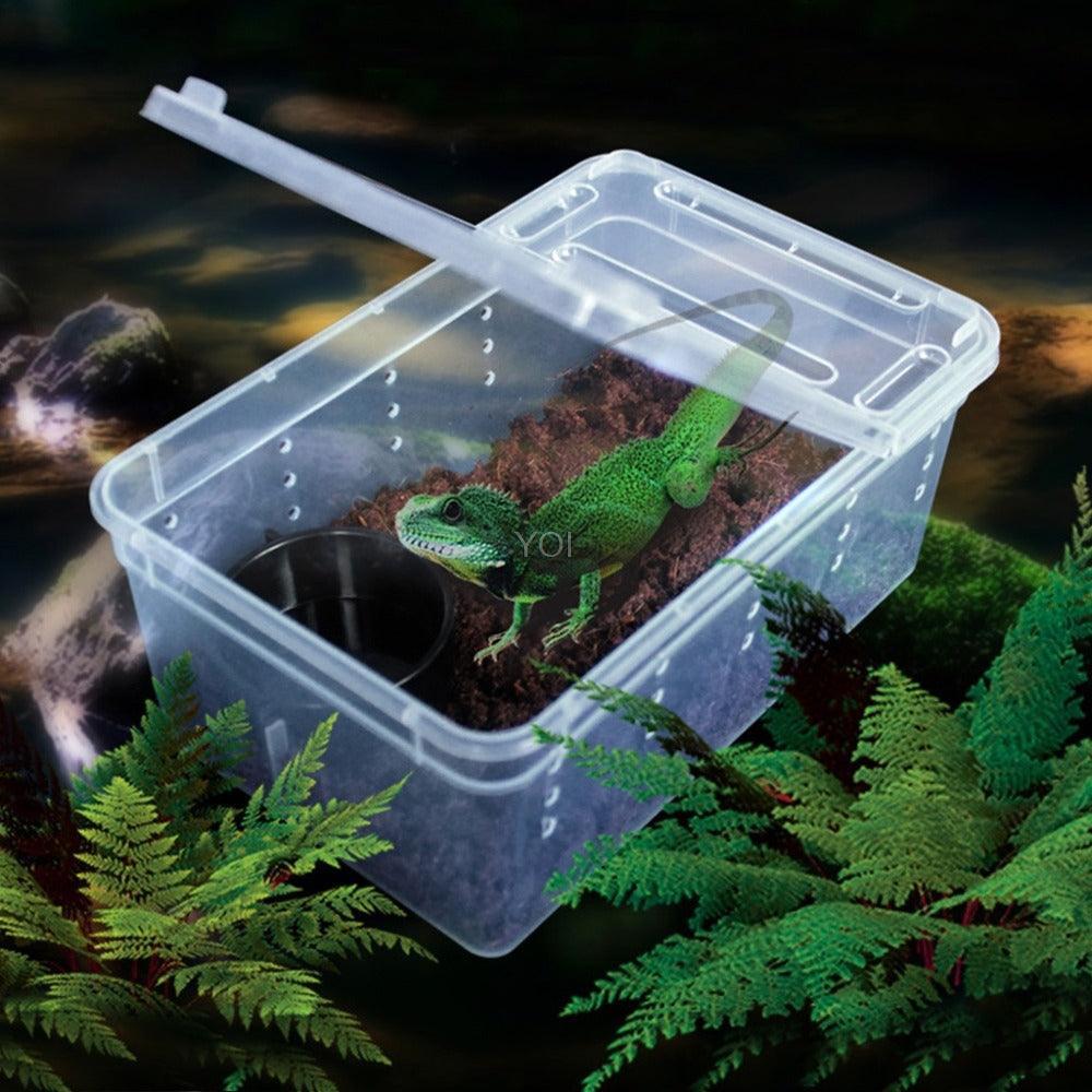 Transparent Reptile Haven: The Perfect Enclosure For Your Cold - Blooded Companions - Pets Perfect