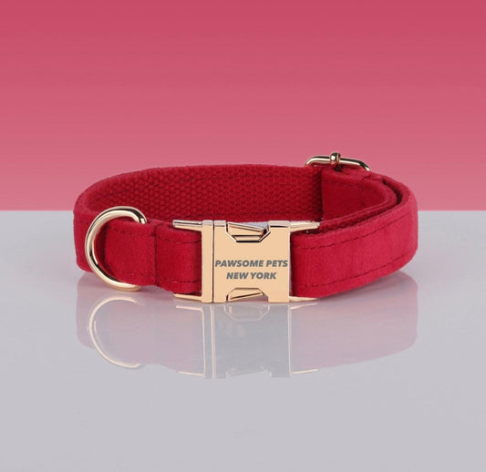 Red dog collar with gold buckle on a reflective surface and pink background