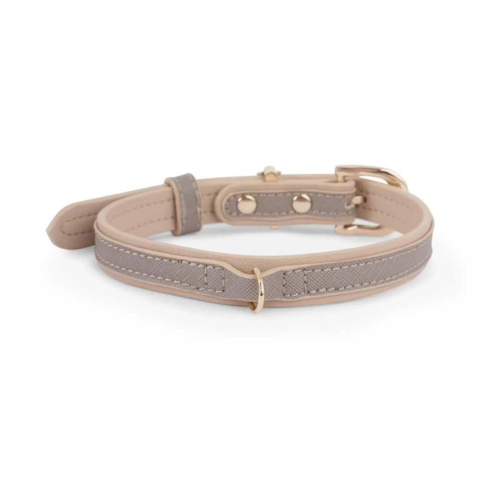 London Dog Collar - Pets Perfect