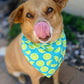 Over-The-Collar Dog Bandana - Handmade Slide-On, 26 Prints, XS to L