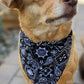 Over-The-Collar Dog Bandana - Handmade Slide-On, 26 Prints, XS to L
