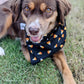 Halloween Dog Bandana Over Collar - Handmade Slide-On Pet Bandana for Dogs